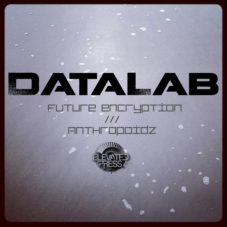 Datalab's avatar image