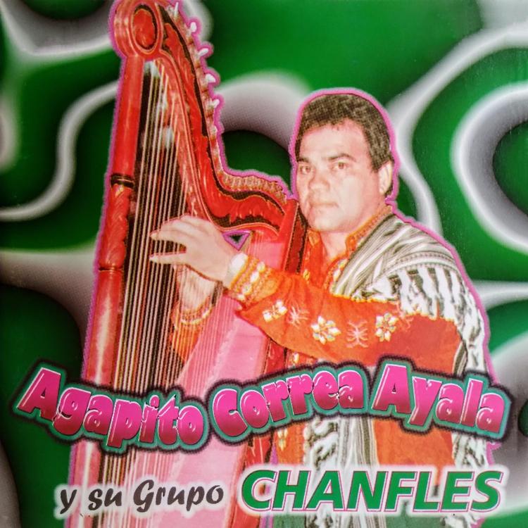 Agapito Correa Ayala y su Grupo Chanfles's avatar image