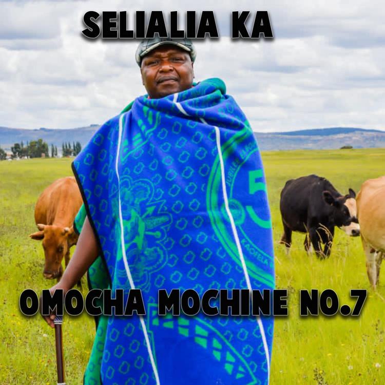 Selialia Ka Omocha Mochini No.7's avatar image