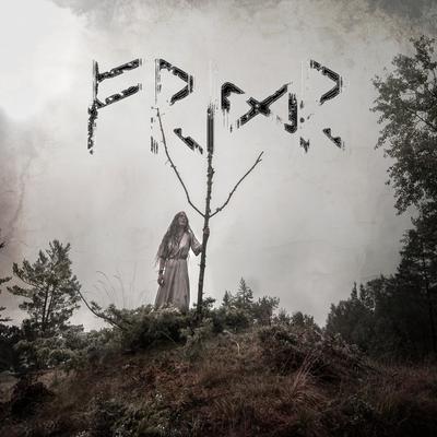 Fridr By Danheim, Sigurbodi's cover