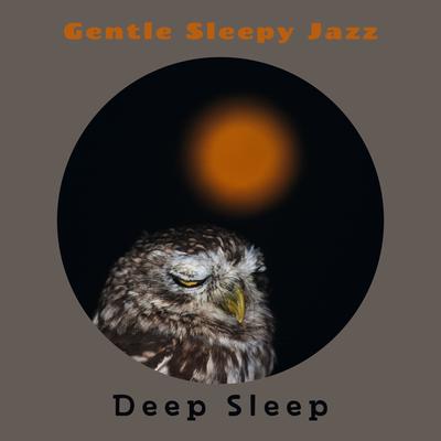 Quiet Night Music By Deep Sleep's cover