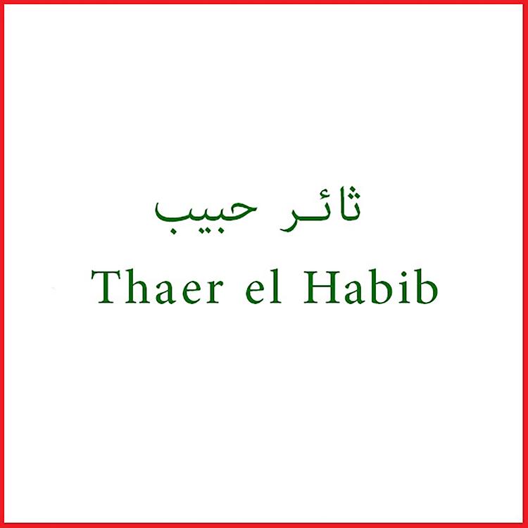 Thaer El Habib's avatar image