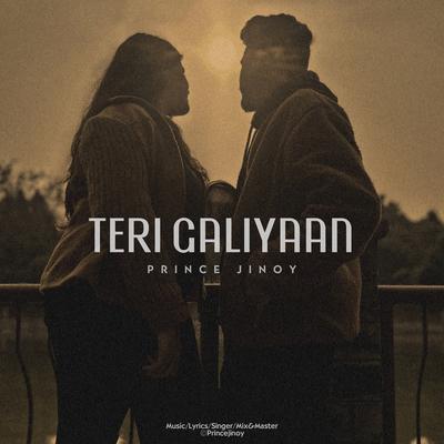 Teri Galiyaan's cover