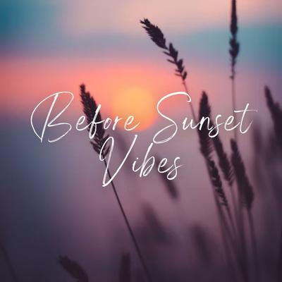 Before Sunset Vibes's cover