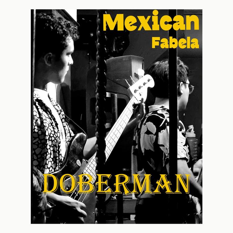 Mexican Fabela's avatar image