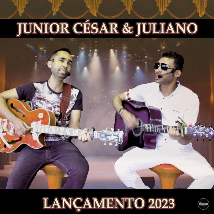 JUNIOR CESAR E JULIANO's avatar image