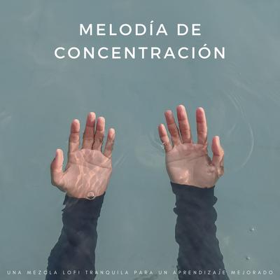 Melodía De Concentración: Una Mezcla Lofi Tranquila Para Un Aprendizaje Mejorado's cover