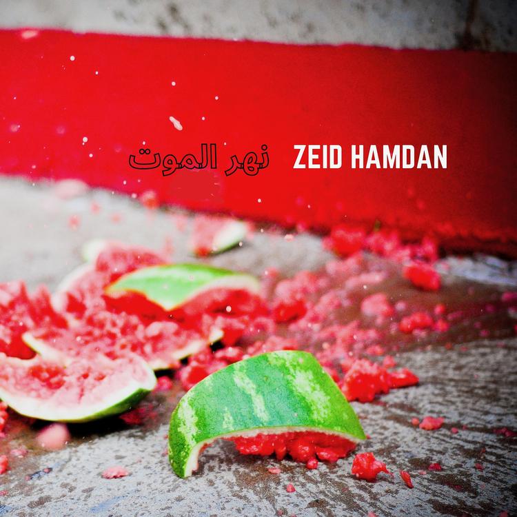 Zeid Hamdan's avatar image