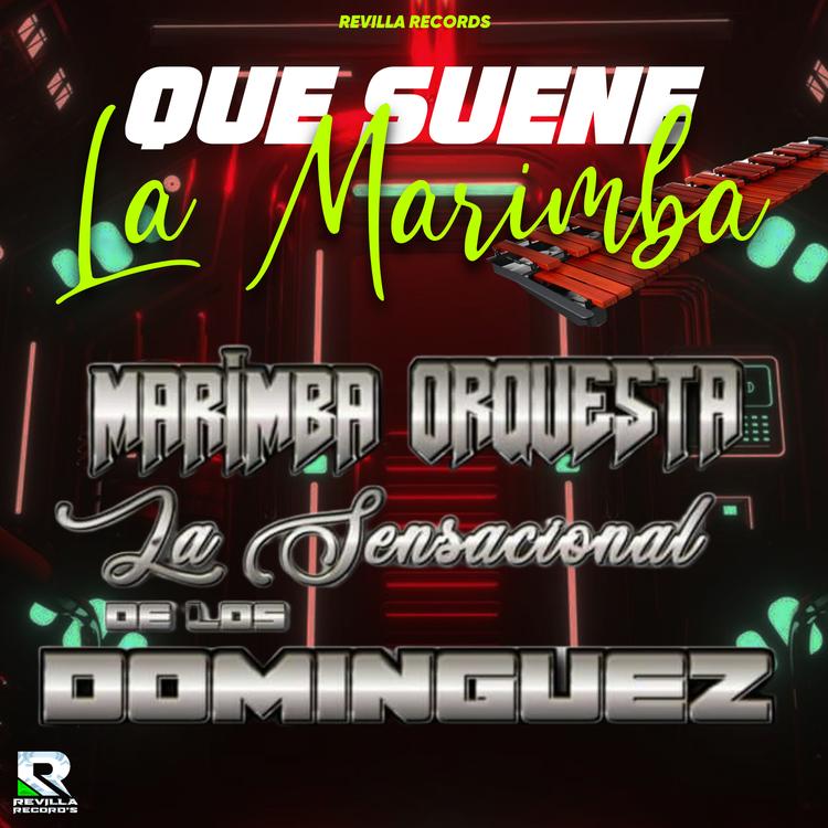 MARIMBA ORQUESTA LA SENSACIONAL DE LOS DOMINGUEZ's avatar image