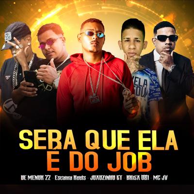 Sera Que Ela e do Job By JOÃOZINHO GT, Brisa081, Dmenor22, Escama Reels's cover