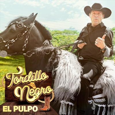 Popurrí (Mi Estrella Perdida / Mi Dulce Mabel / Beatriz / Es Demasiado Tarde) By Tordillo Negro's cover