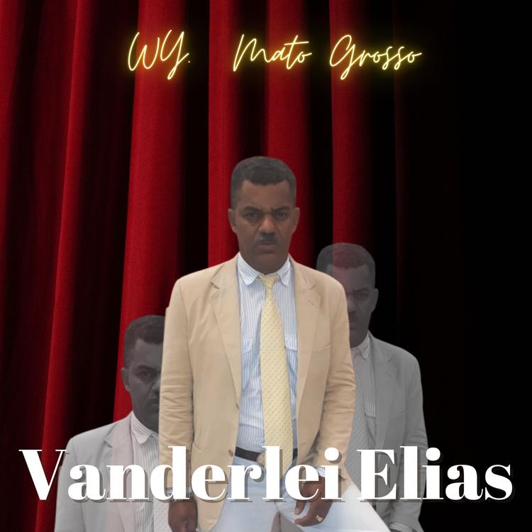 VANDERLEI ELIAS WY MATOGROSSO's avatar image