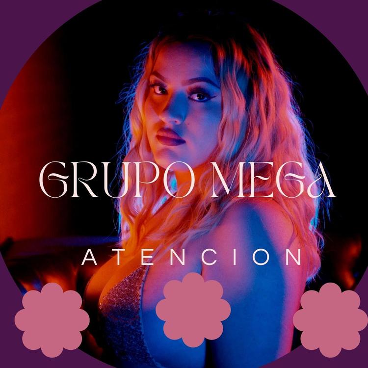 Grupo Mega's avatar image