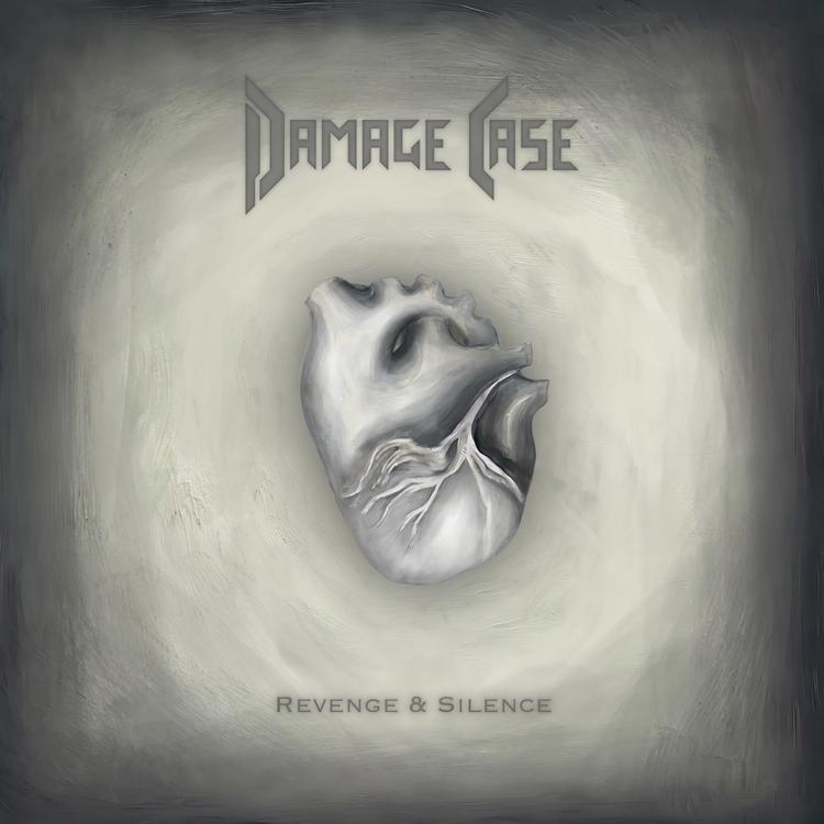 Damage Case's avatar image