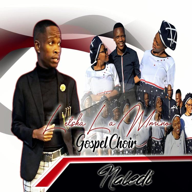 Letsha La Mmino Gospel Choir's avatar image