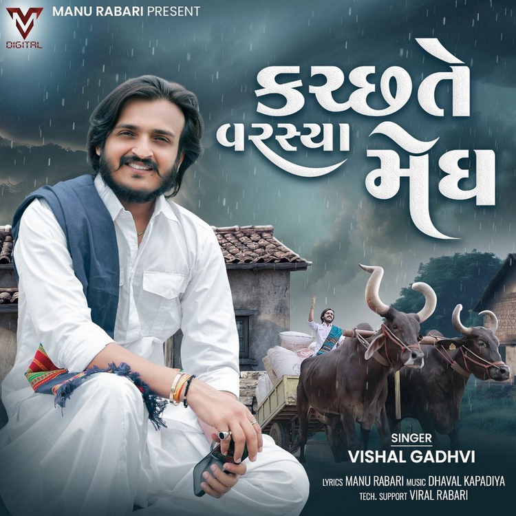 Vishal Gadhvi's avatar image
