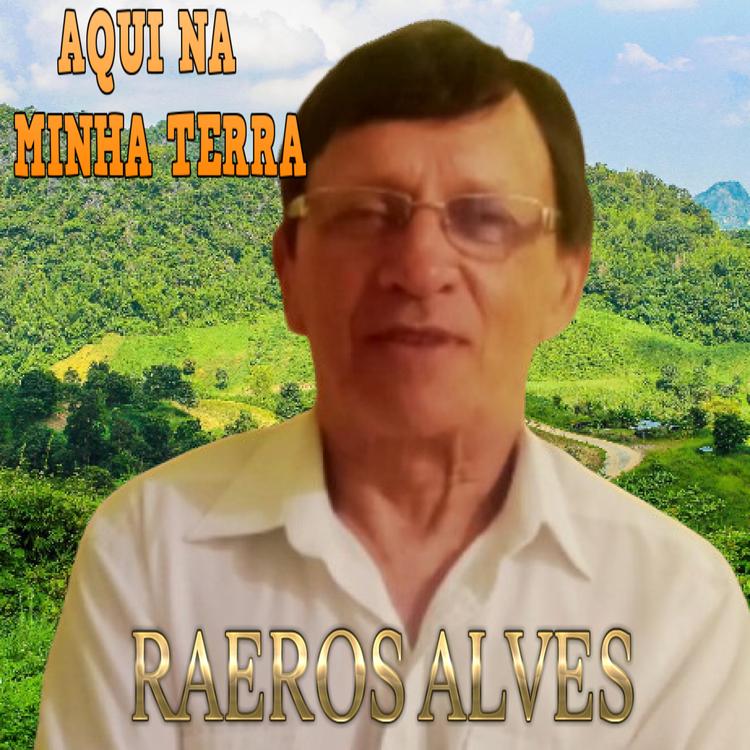 Raeros Alves's avatar image