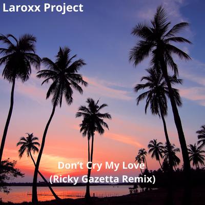 Don't Cry My Love (Ricky Gazetta Remix)'s cover