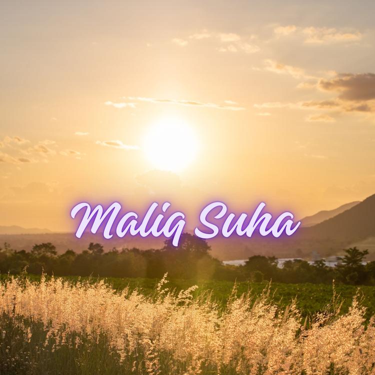 Maliq Suha's avatar image