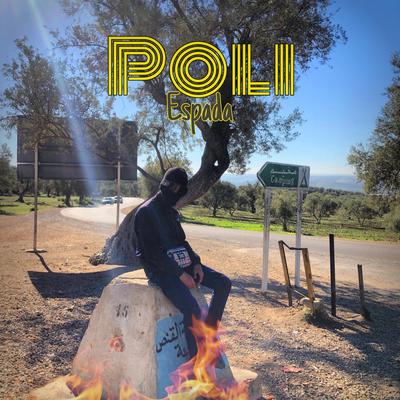 POLI's cover