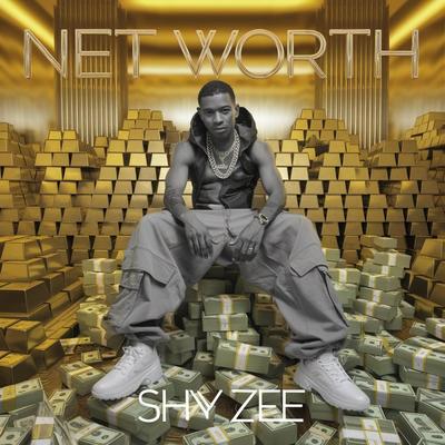 Net Worth's cover