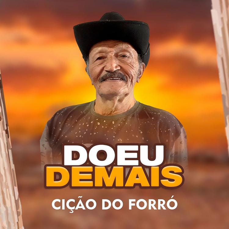 Cição do Forró's avatar image