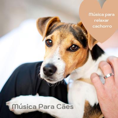 Música pra cão relaxar By Música Para Cachorro's cover