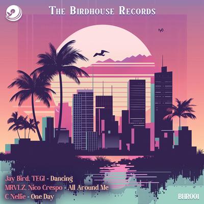 The Birdhouse Records's cover