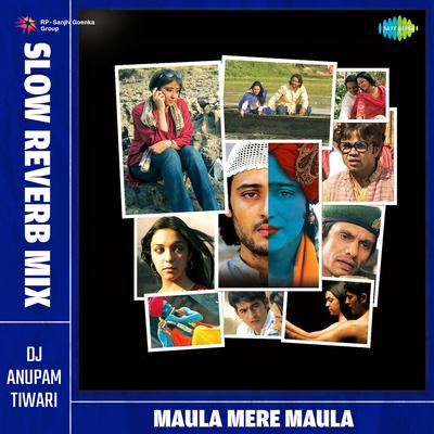 Maula Mere Maula - Slow Reverb Mix's cover