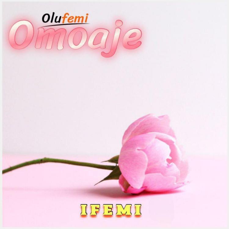 Olufemi Omo Aje's avatar image