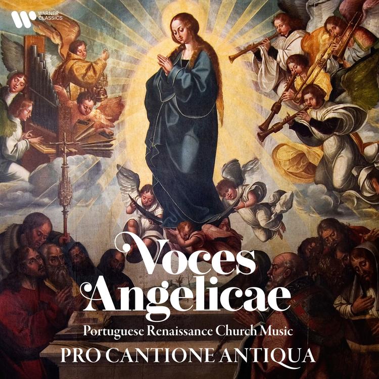 Pro Cantione Antiqua's avatar image