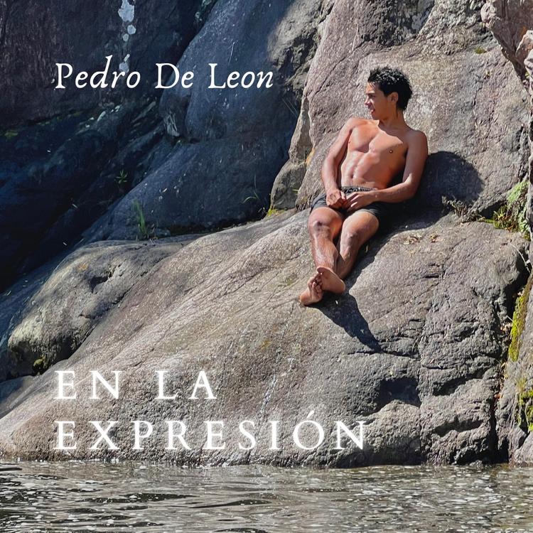 Pedro de Leon's avatar image