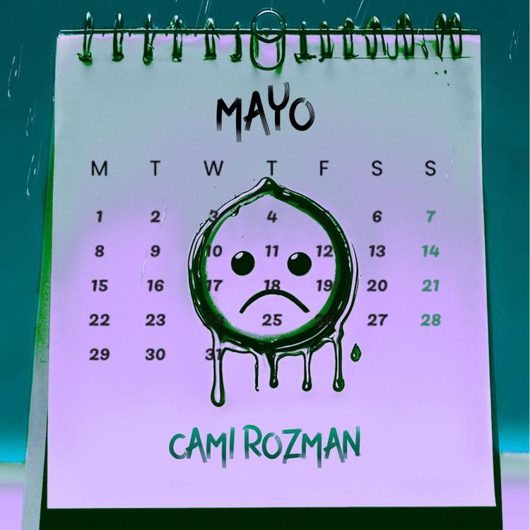 Camí Rozman's avatar image