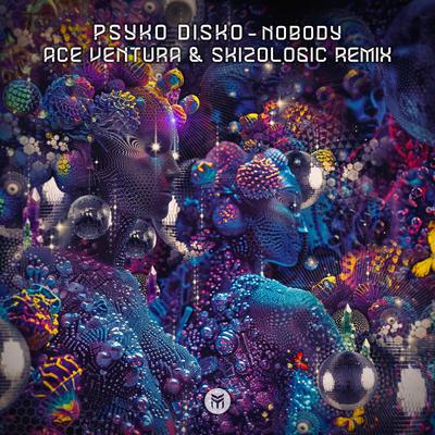 Nobody By Psyko Disko, Ace Ventura, Skizologic's cover