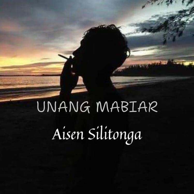 AISEN SILITONGA's avatar image