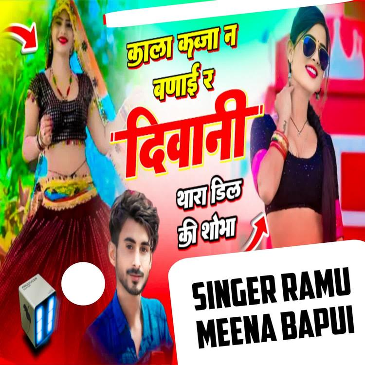 Ramu Meena Bapui's avatar image