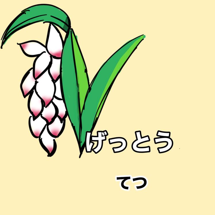 てつ's avatar image