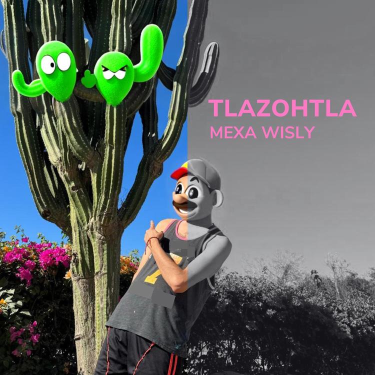 Tlazohtla's avatar image