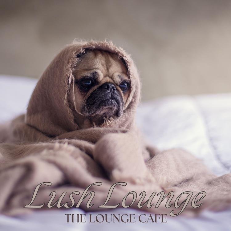 The Lounge Café's avatar image