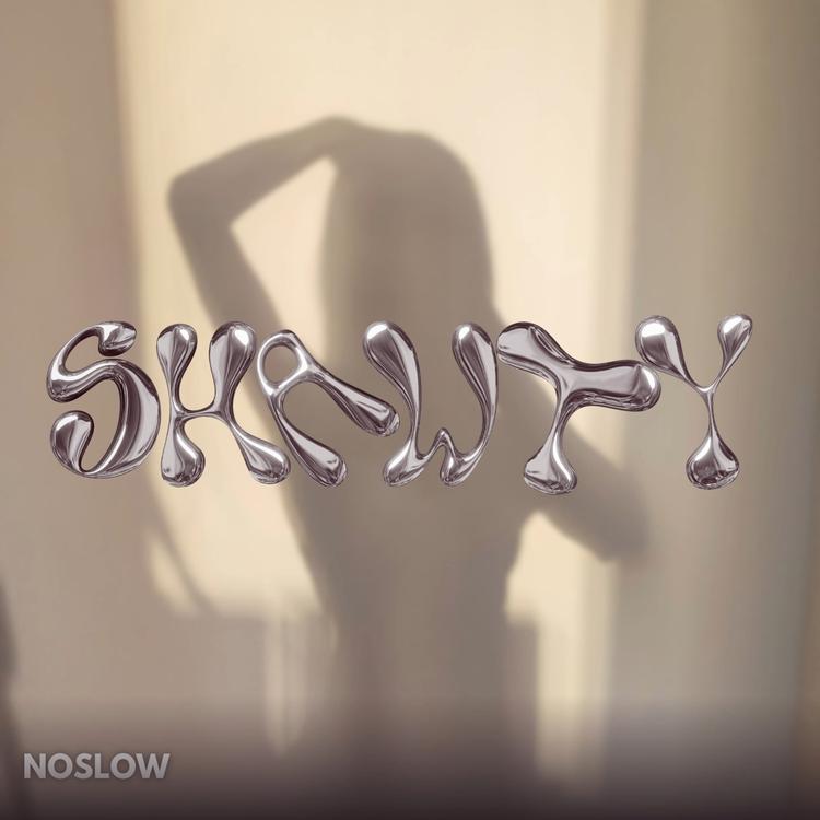 noslow .'s avatar image