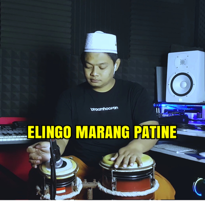 Elingo Marang Patine Mampir Ngombe's cover