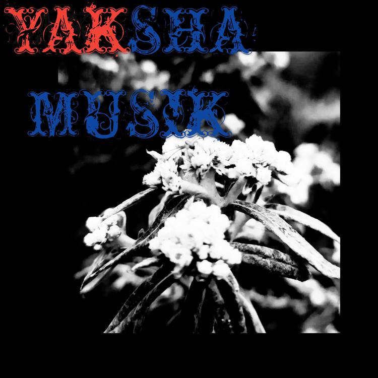 Yaksha Music's avatar image