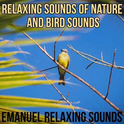 Relaxing Sounds of Nature and Bird Sounds for Sleep and Relaxation's cover