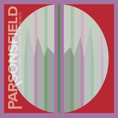 Stronger By Parsonsfield's cover