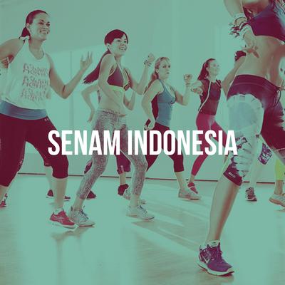 Senam Musik Indonesia (Dengan Aba-aba)'s cover