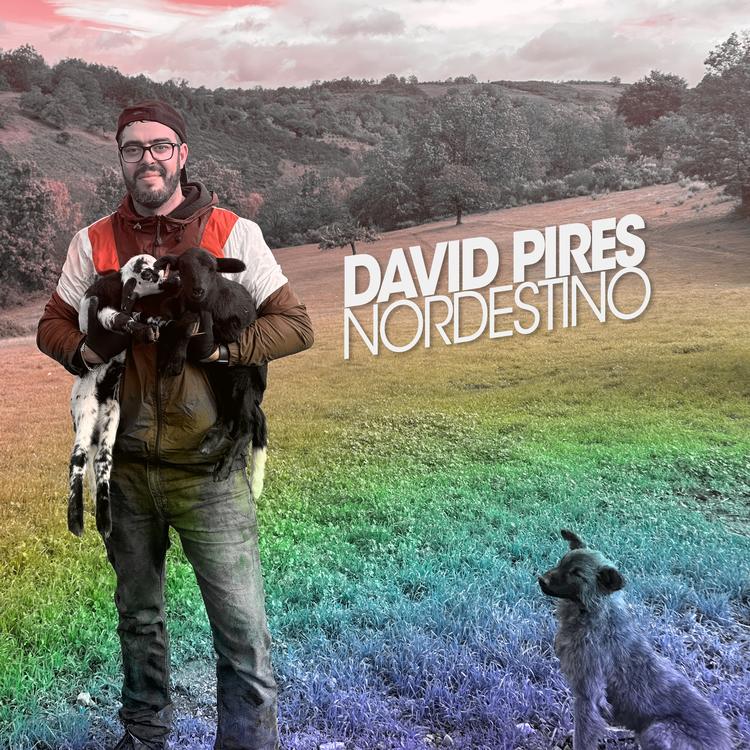 David Pires's avatar image