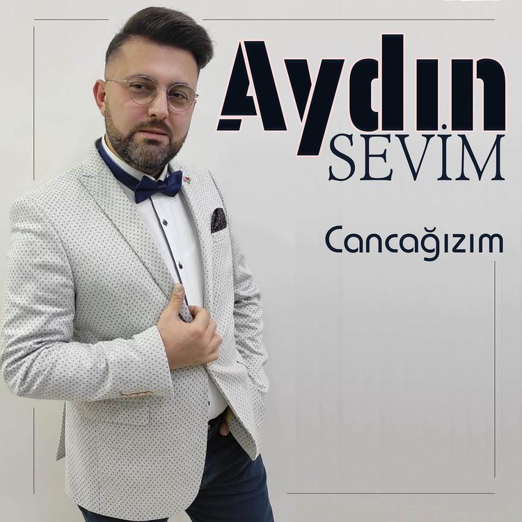 Aydın Sevim's avatar image