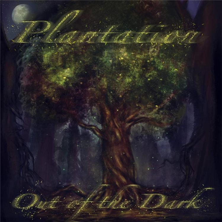 Plantation's avatar image