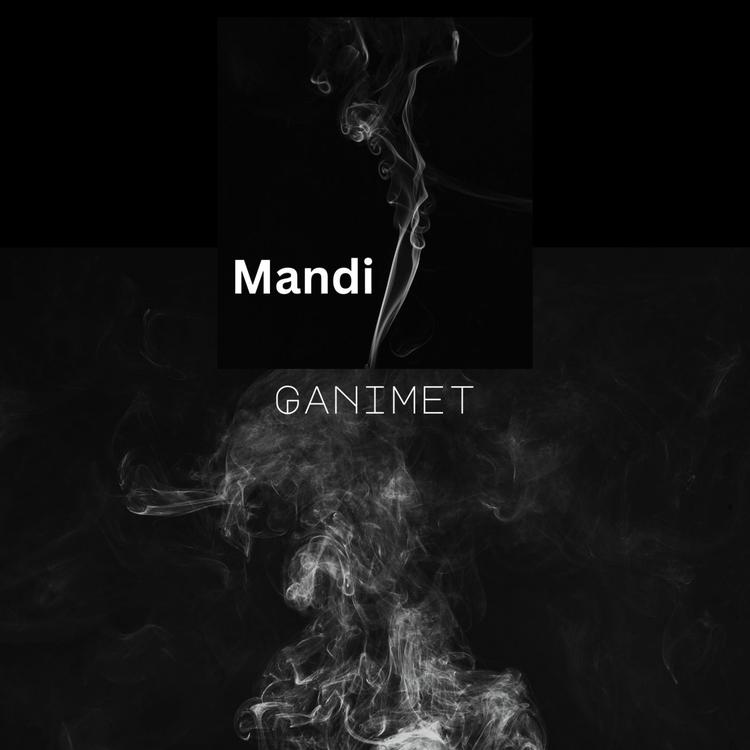 Mandi's avatar image