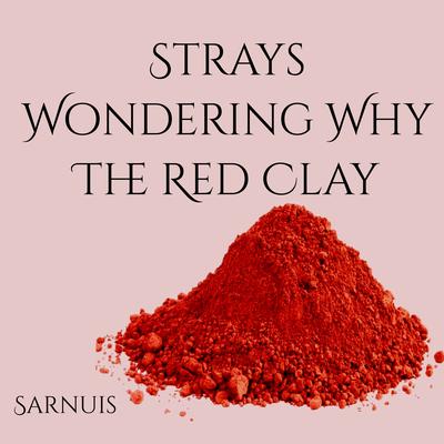 Strays Wondering Why the Red Clay (Slowed Remix) By Sarnuis's cover